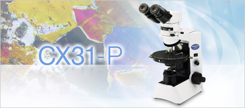 CX31-P偏光显微镜